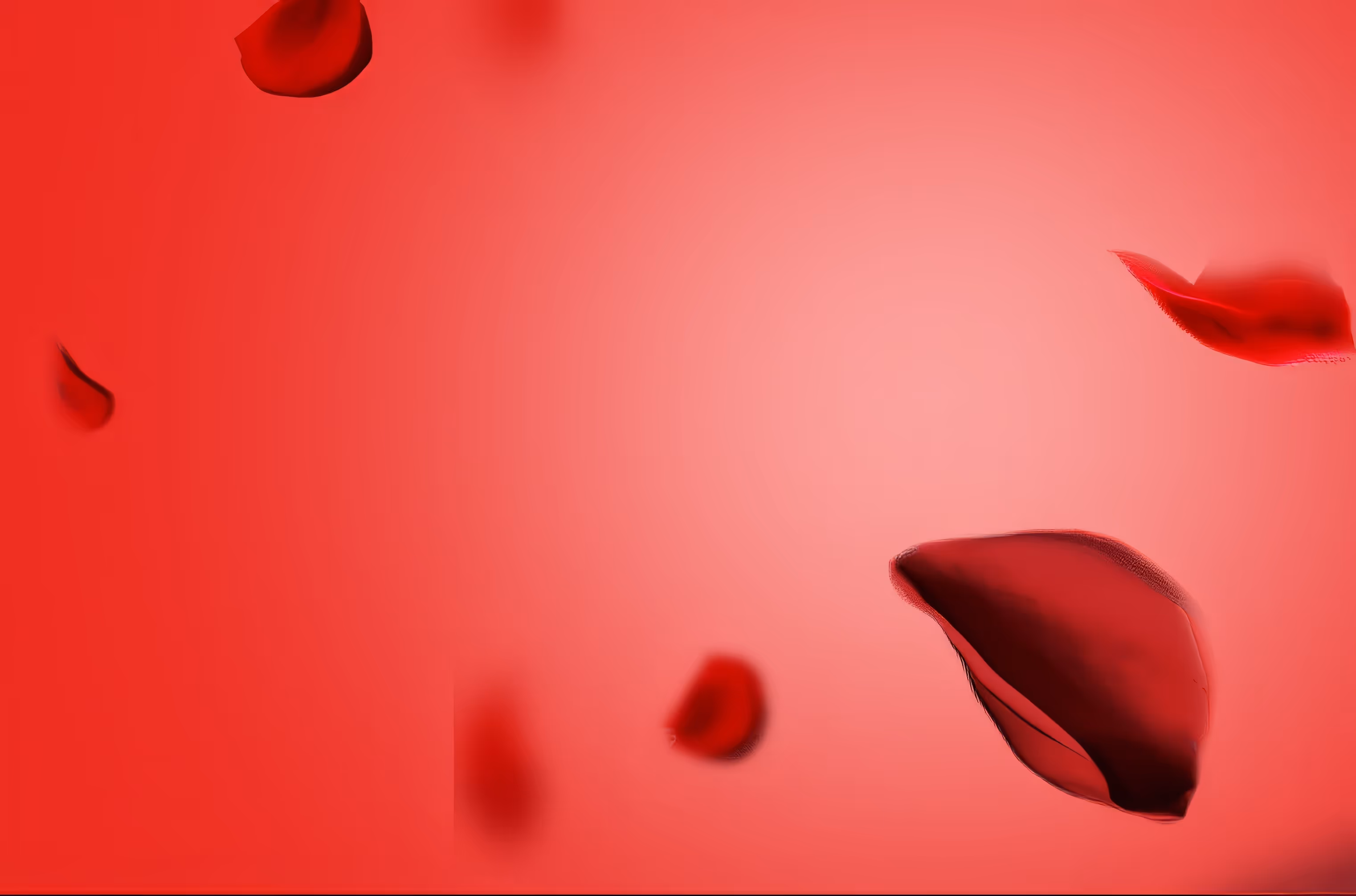 Red rose petals gently floating against a soft red gradient background.