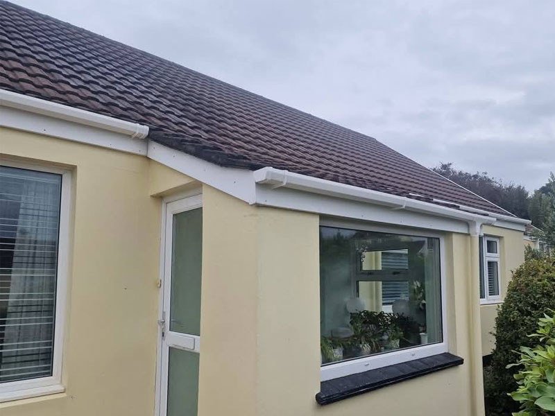 Facia, Soffit and Gutter Cleaning