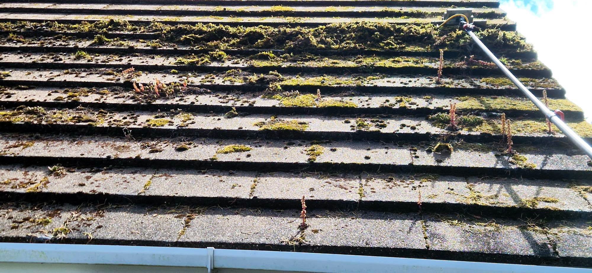 May be an image of cold frame