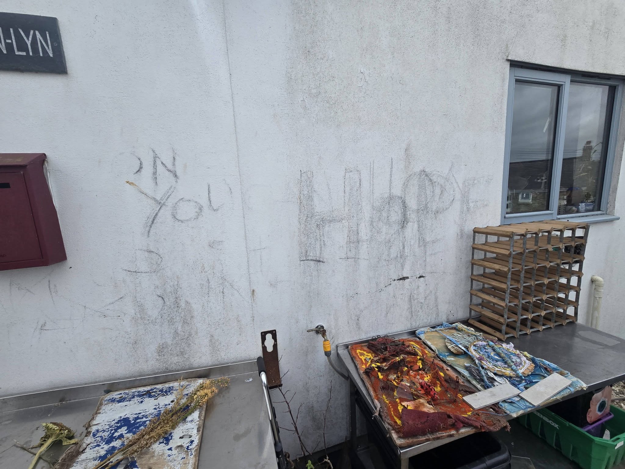 May be an image of text that says "LYN"