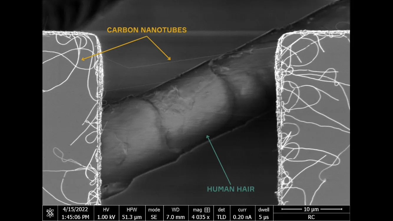 Carbon nanotube compared to human hair scale — 100,000 times thinner