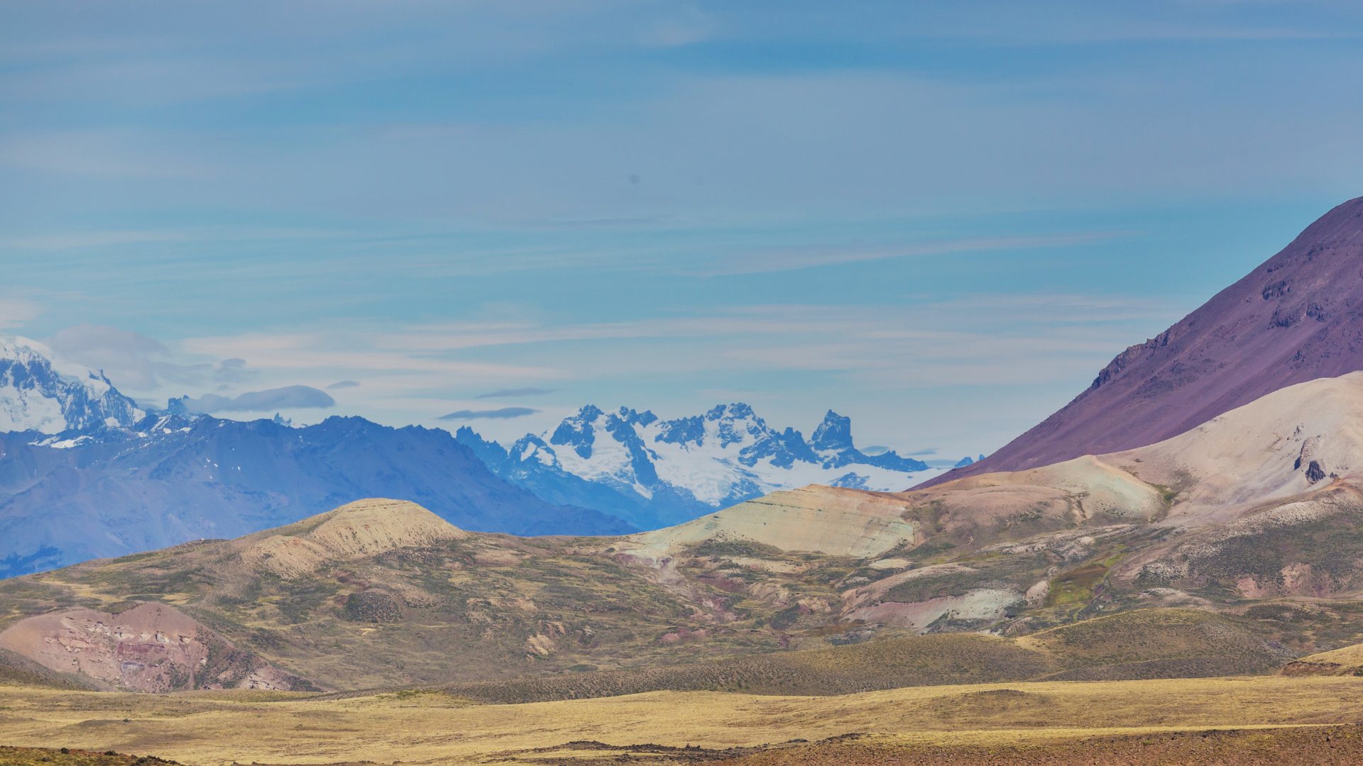 The Hooded Grebe: Patagonia's Most Endangered Bird