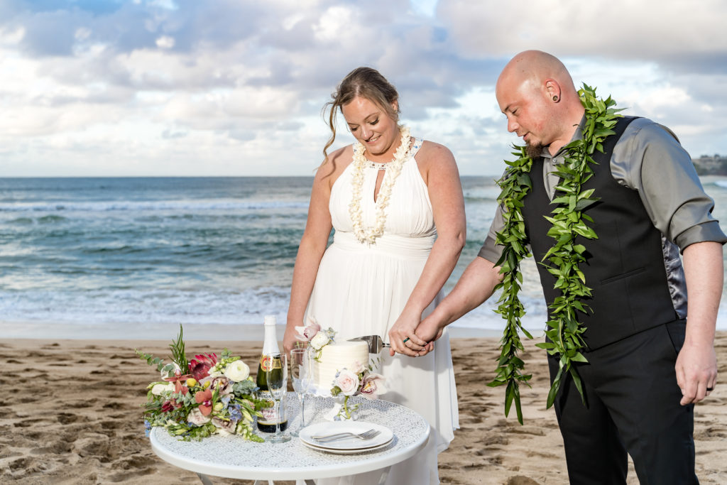Husband and Wife cutting their wedding cake.