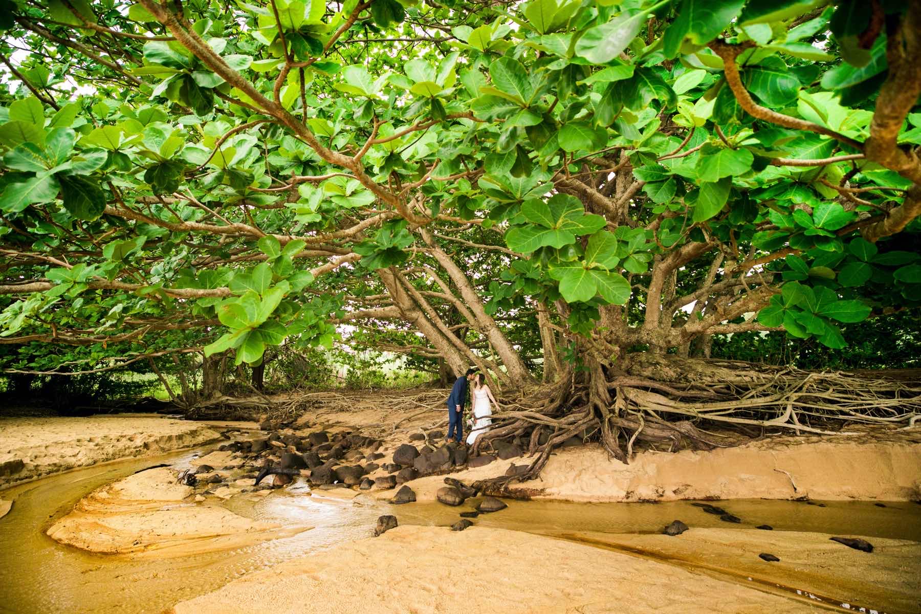 Gerlie & Joeygene under a tree on the beach in Kauai.