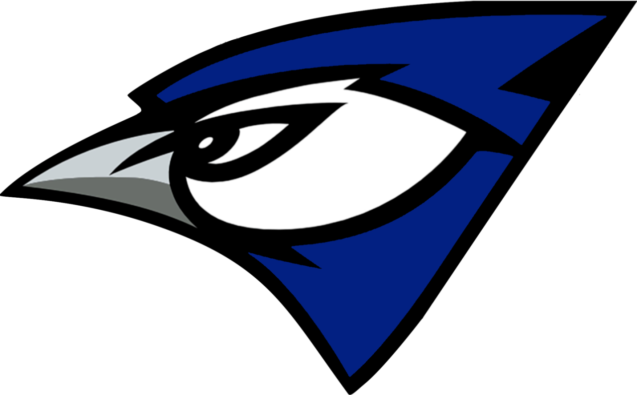 Ravenna Bluejay