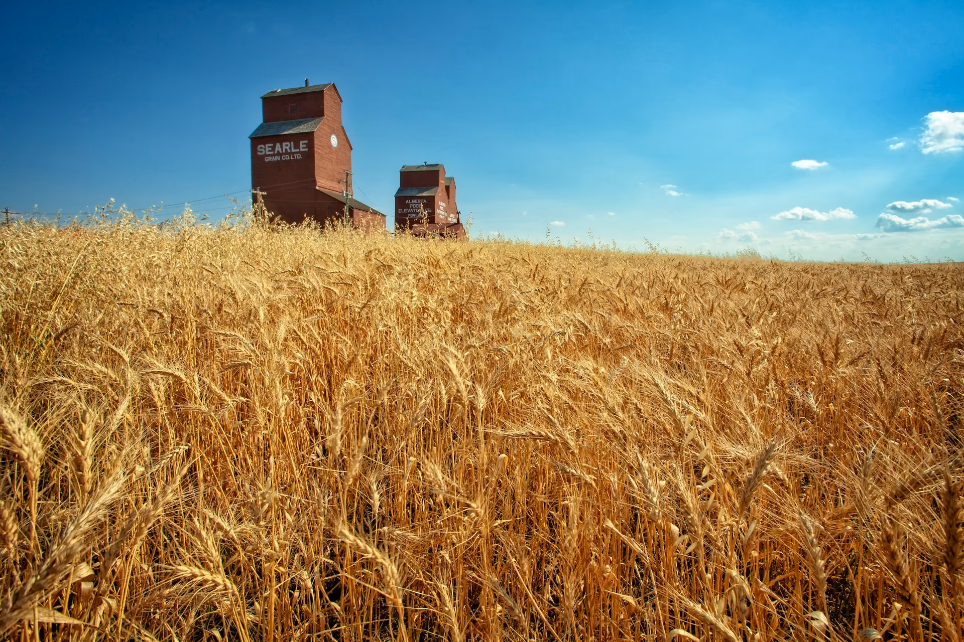Agriculture Law