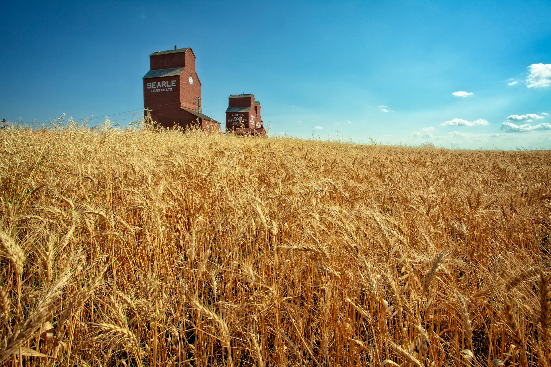 Agriculture Law