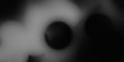 Close-up of four textured plant pods on a single stem against a dark background.