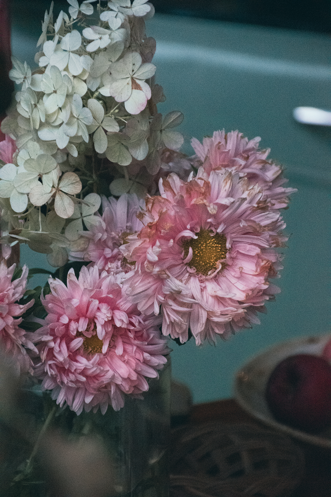 Bukiet różowych kwiatów z białymi liśćmi w przezroczystym wazonie na tle niebieskiej ściany.