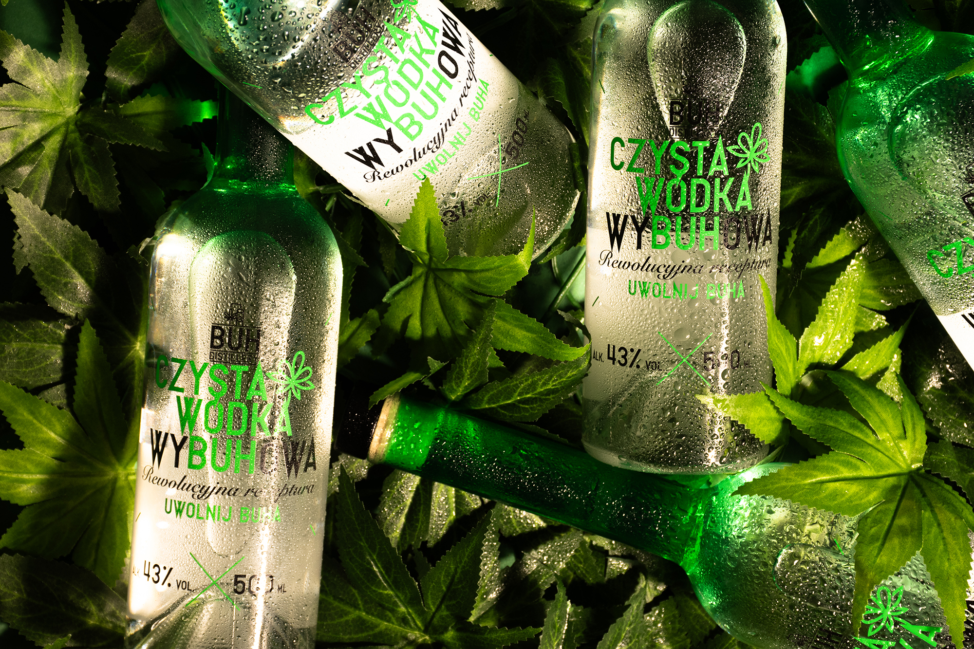 Butelki wódki Czysta Wódka Wybuhowa na tle zielonych liści z kroplami wody.