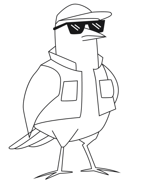 Stylized black and white bird wearing sunglasses, a baseball cap, and a sleeveless jacket.