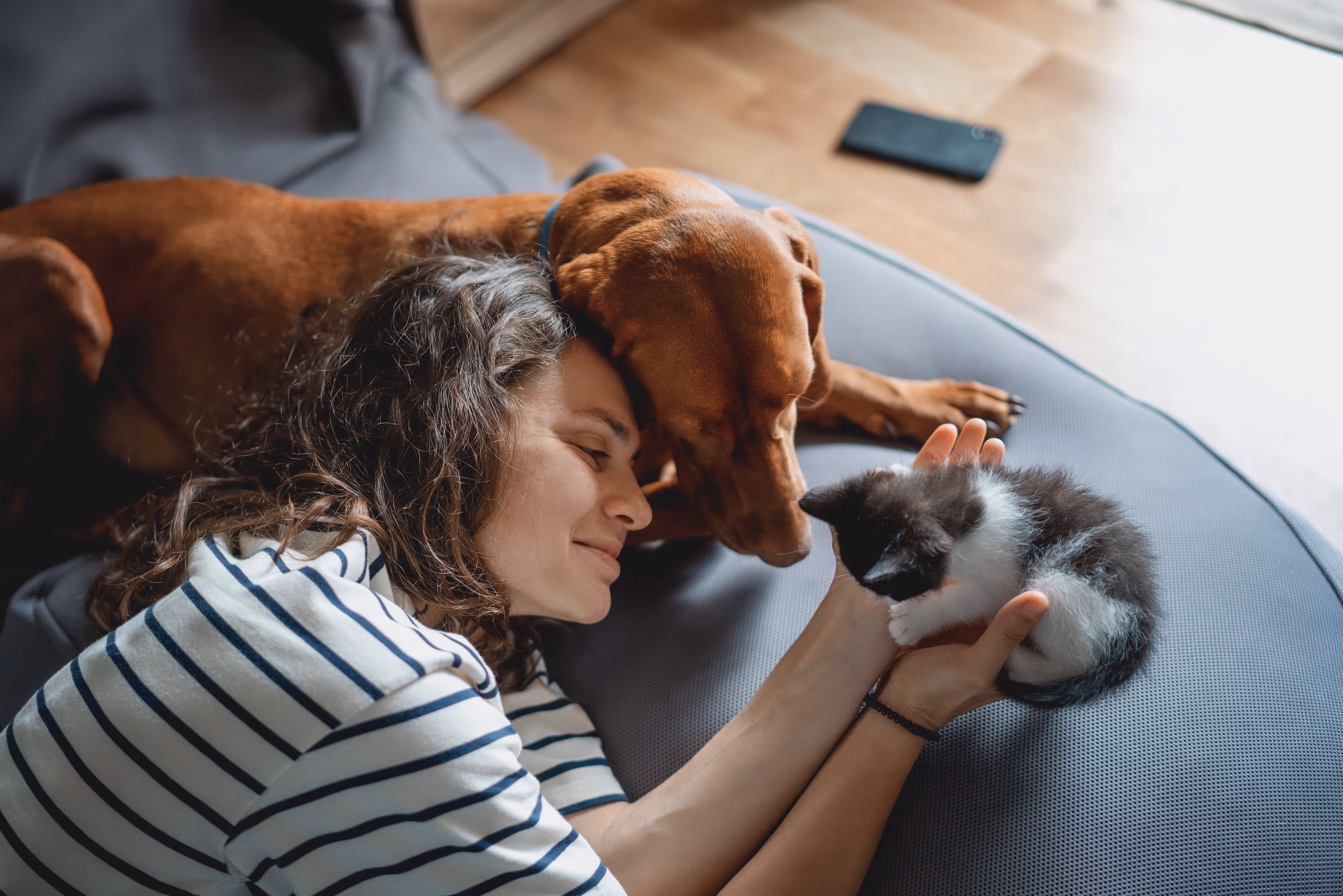 Person on a couch holding a kitten with a dog laying next to them.