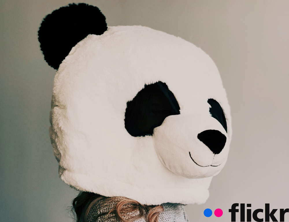 Flickr