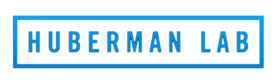 Huberman Lab text logo with blue outlined letters inside a rectangular border.