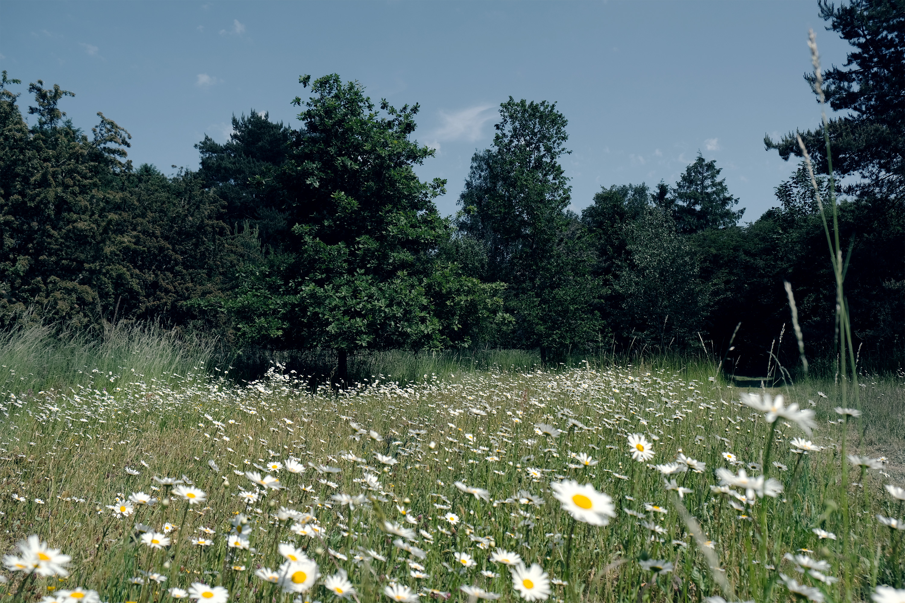 architectural design images