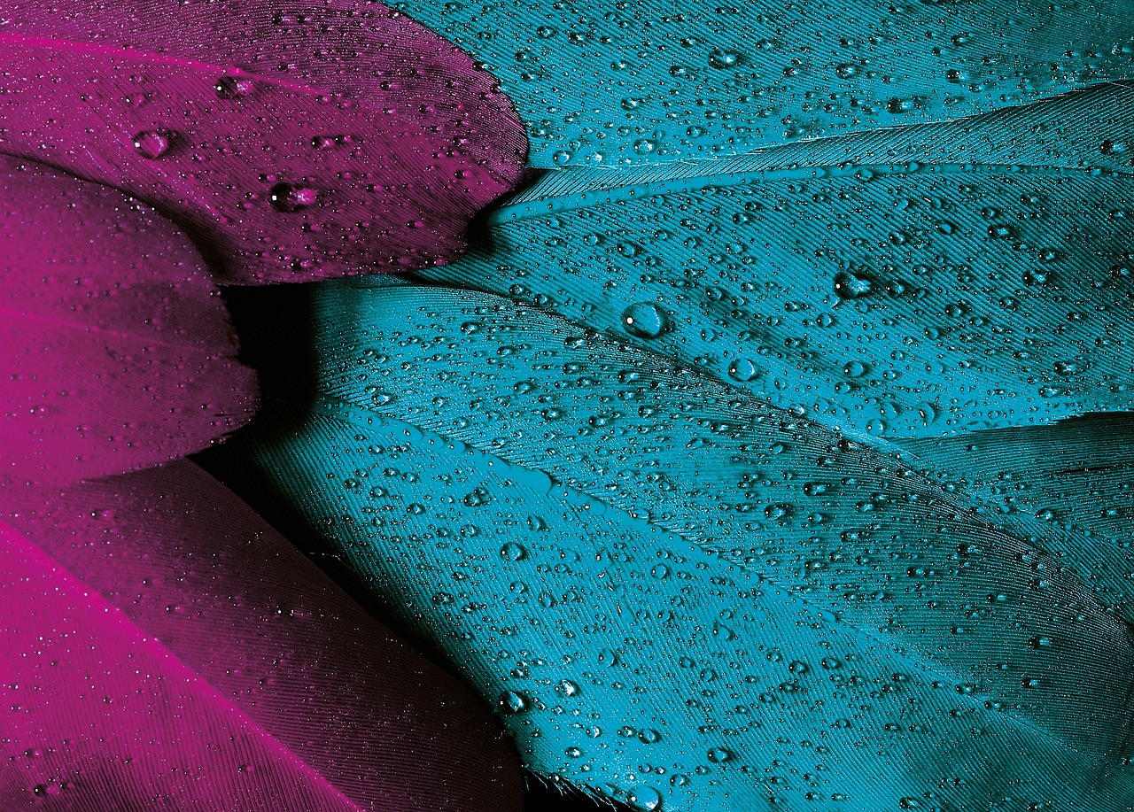 Close-up of purple and blue feathers covered with water droplets.