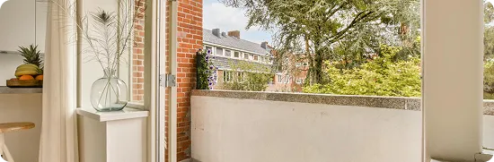 View from a room showing a vase with plants on a windowsill and an open door leading to a balcony with trees and residential buildings in the background.