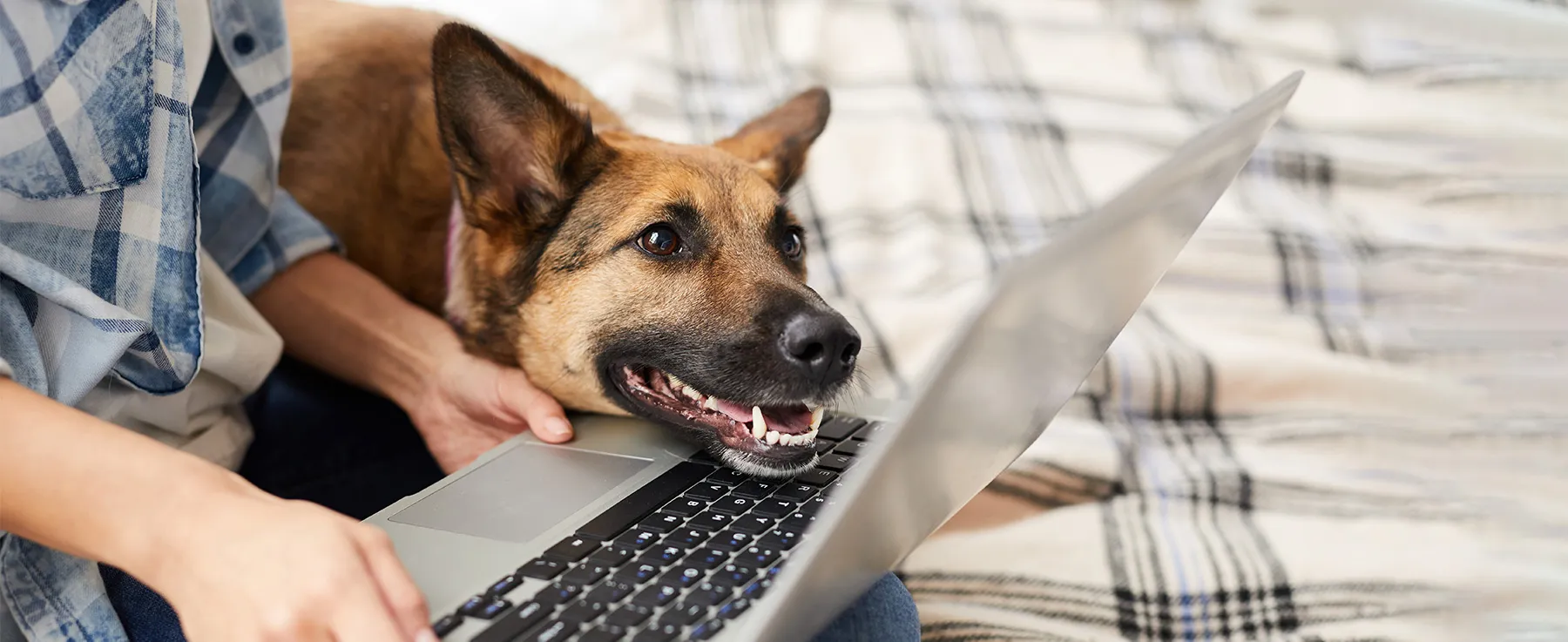 The Bountiful Benefits of Blogs (for Your Business)