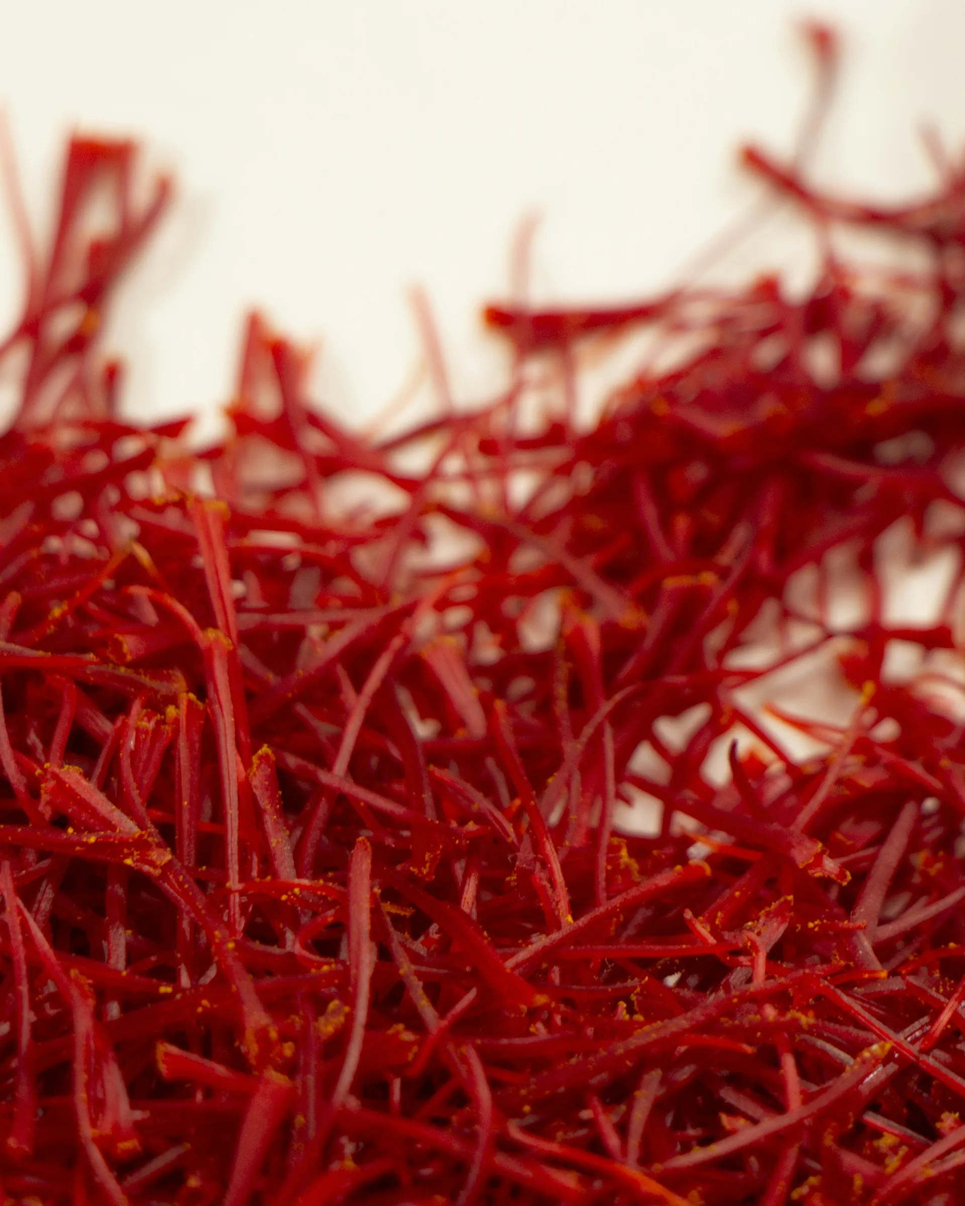 Saffron stigmas drying on cloth, close detail