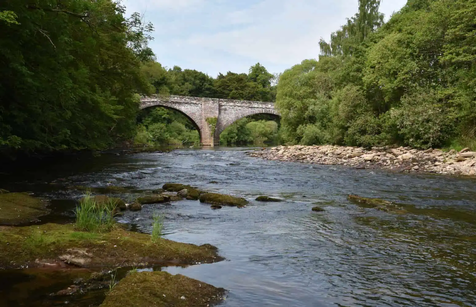 Gone Fishing: The Best Spots for Anglers Around Foresterseat Holiday Park