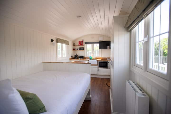 Shepherd Huts or Hotels? Why Our Luxury Glamping Wins Every Time in Angus