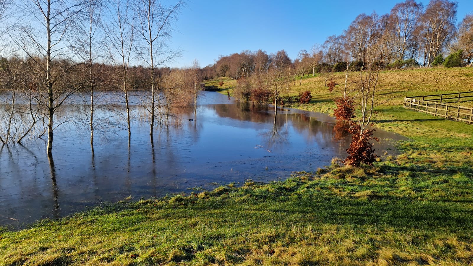 Murton Farm: Why You Simply Must Visit Our Local Treasure