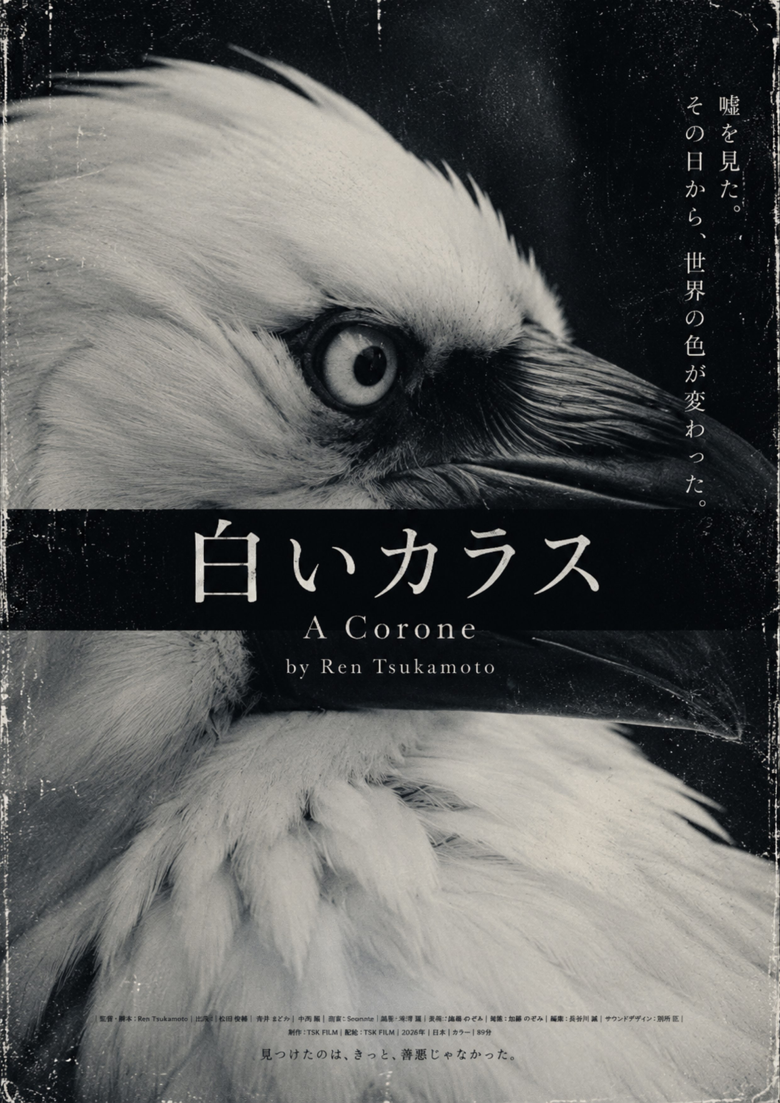 白いカラス / A Corone film poster