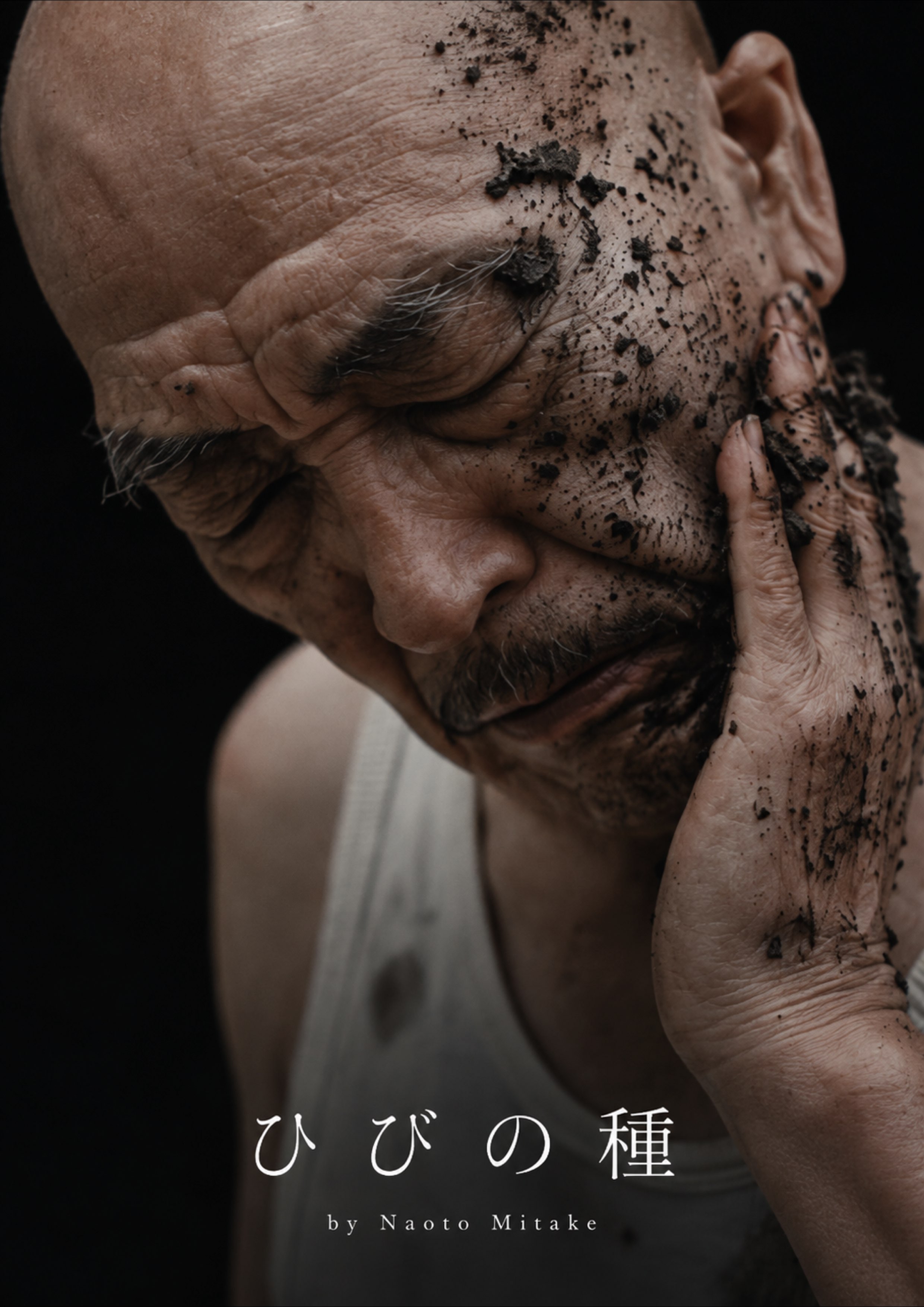 ひびの種 film poster