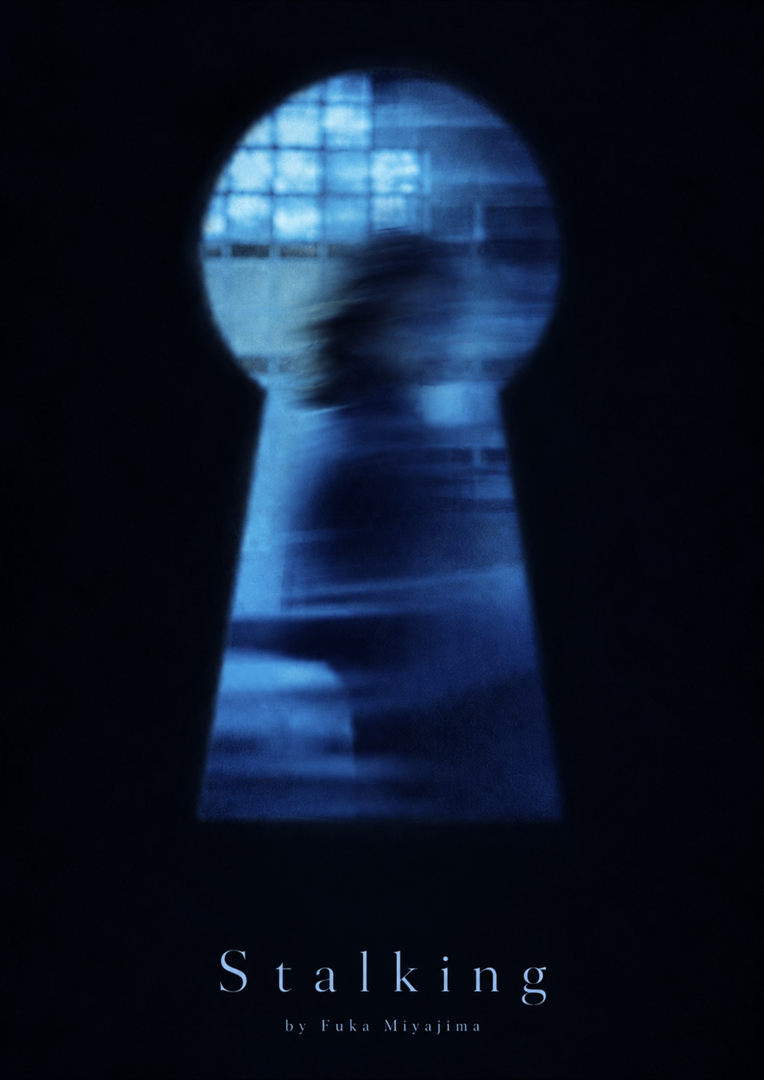 Stalking Stalking film poster