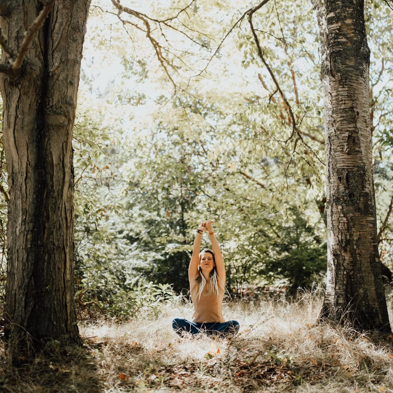 Woman sitting cross-legged on grass between two trees, stretching arms upward in a sunlit forest.