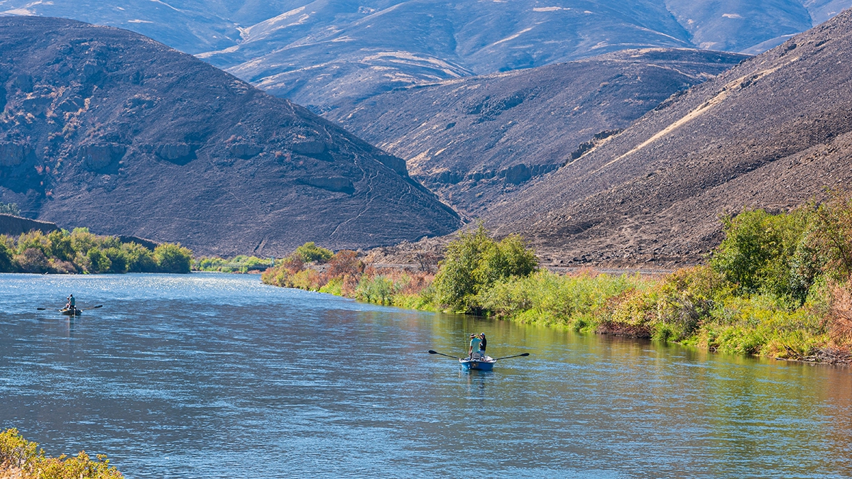 Yakima Canyon winding river flowing through a dry canyon with rocky hills and sparse vegetation under a clear blue sky.