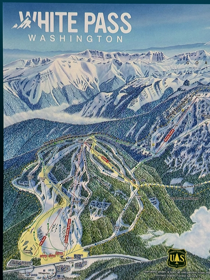 Glass of white wine surrounded by red and green apples with leaves on a wooden surface.