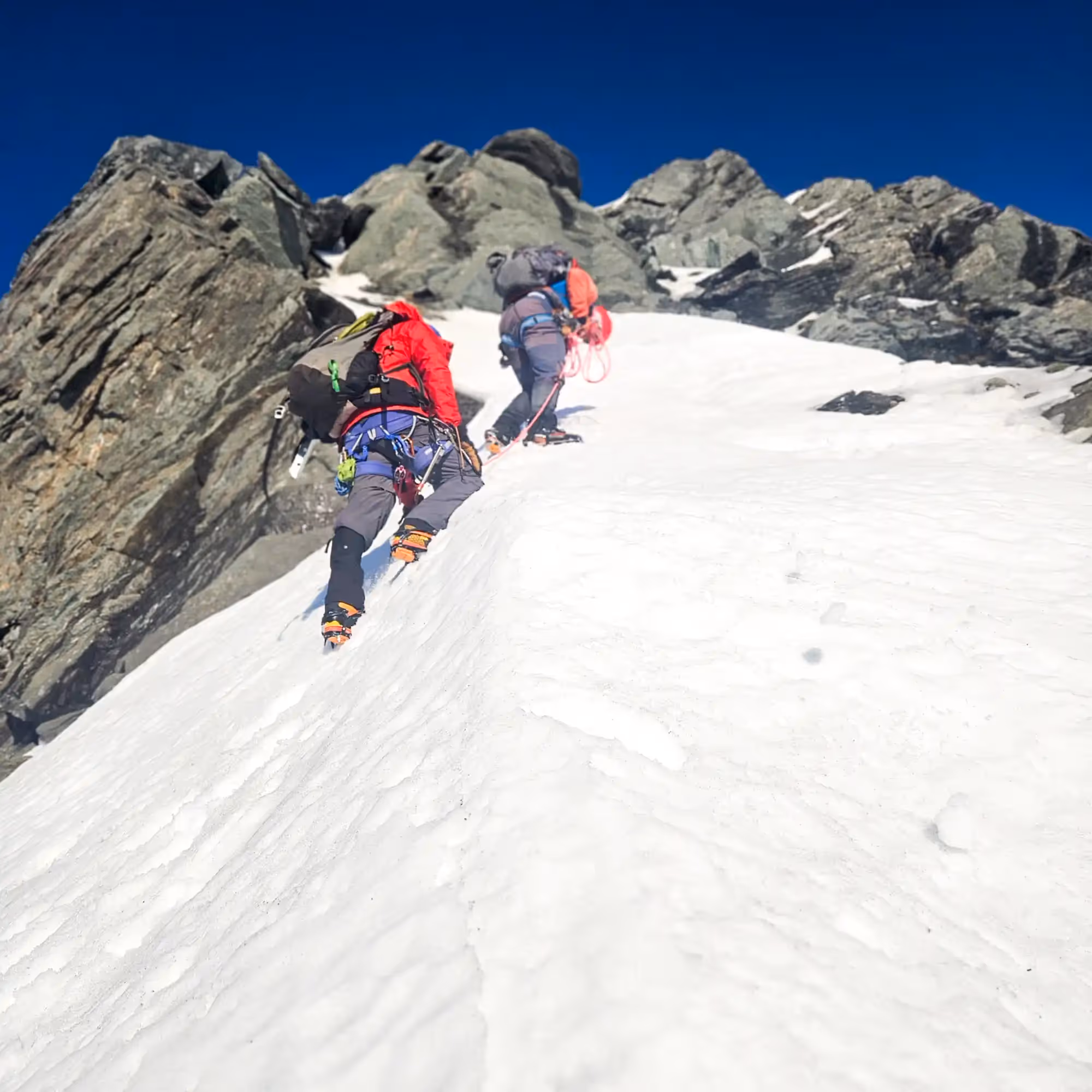 Guide short-roping a guest on the lower NW Ridge of Aspiring