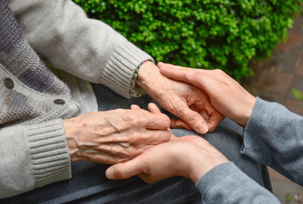 Close-up of younger hands gently holding older hands over a gray skirt with green shrubbery in the background.