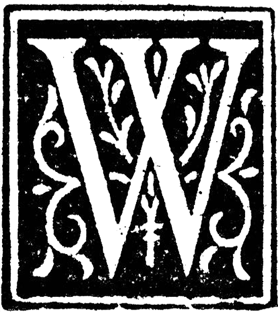 Decorative letter W with ornate floral patterns inside a square frame.