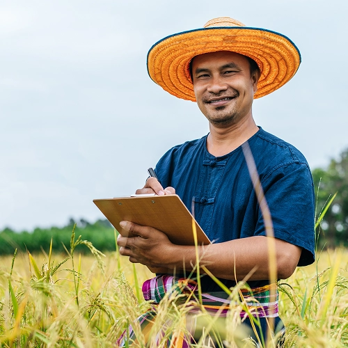 Agronomist conducting an on-site field analysis and soil consultation in a rice paddy using a clipboard