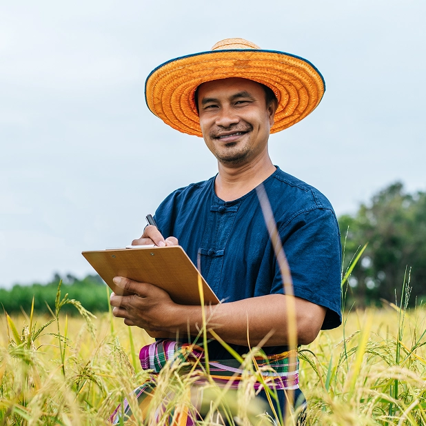 Agricultural consultant recording crop data on a clipboard during a field visit in a rice paddy