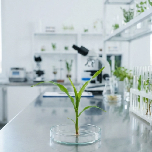 Young green plant growing in a petri dish on a laboratory table with microscopes and plant samples in the background.