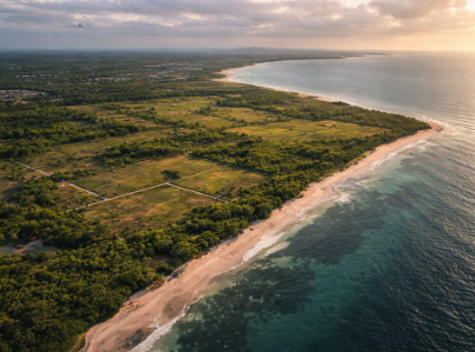image of music fans at concert
