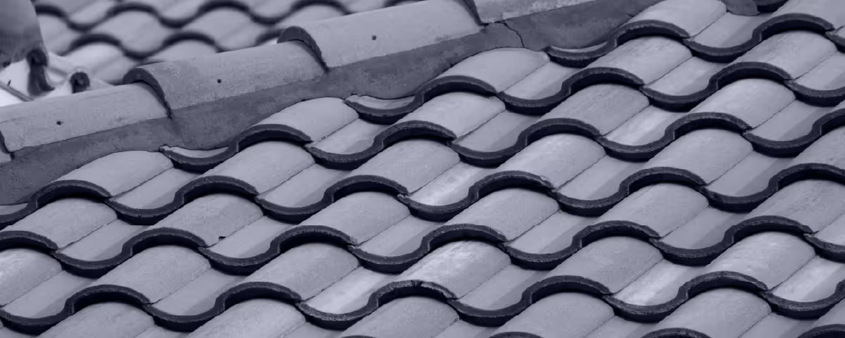 Service Single Image