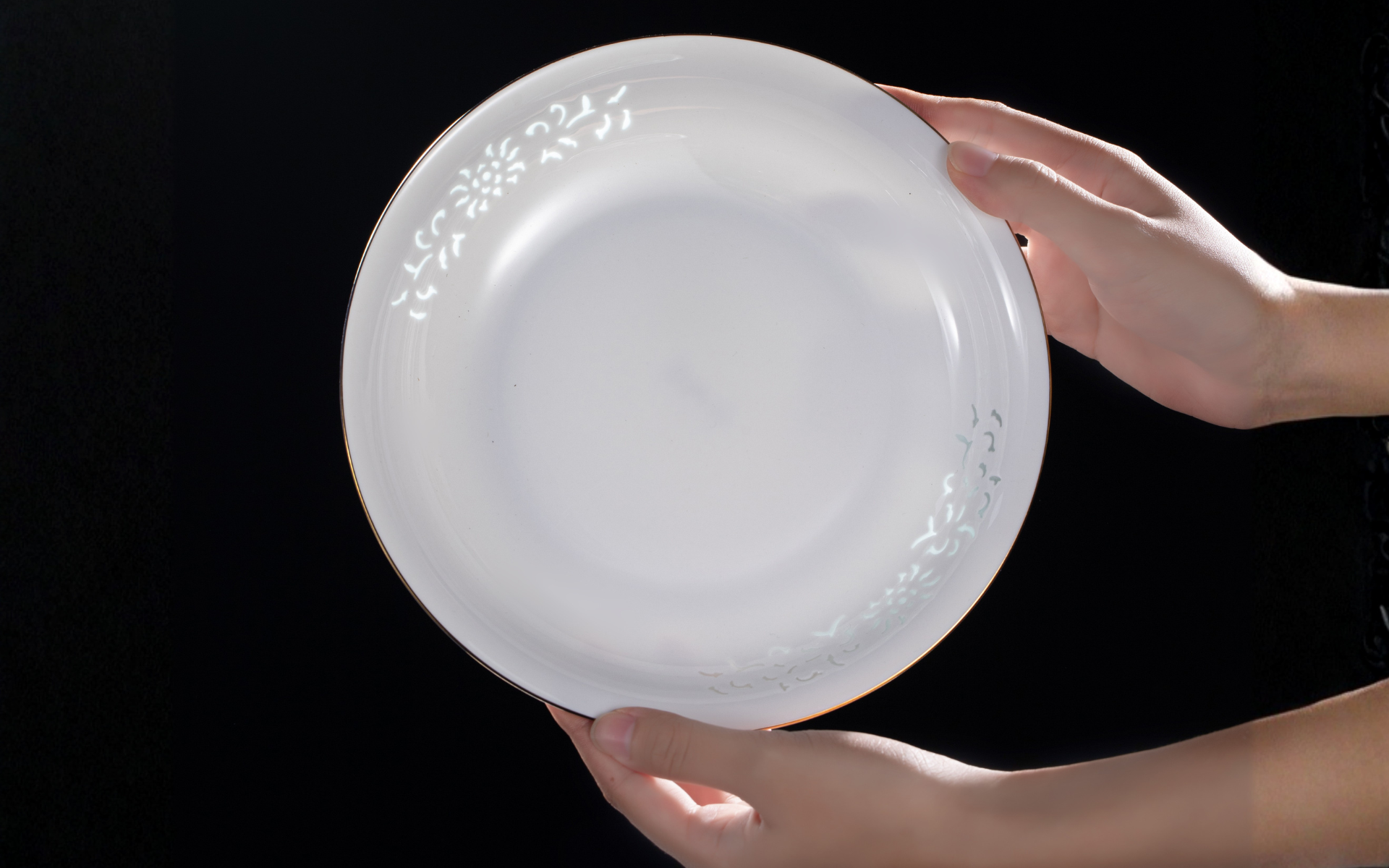 An Imperiax dinner plate held in two hands