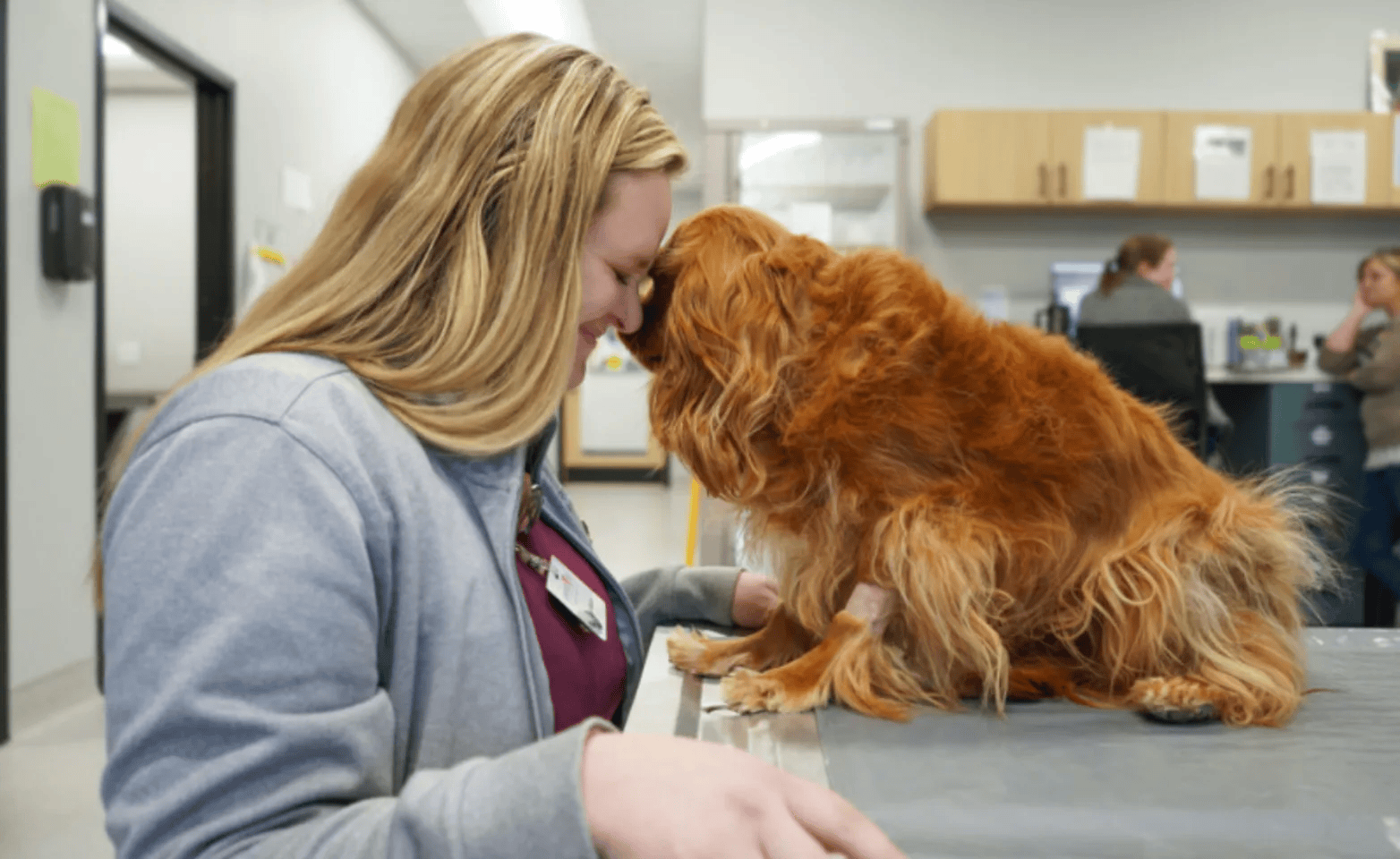 Upstate Vet Achieves 98% Adoption Across Specialty and ER Teams