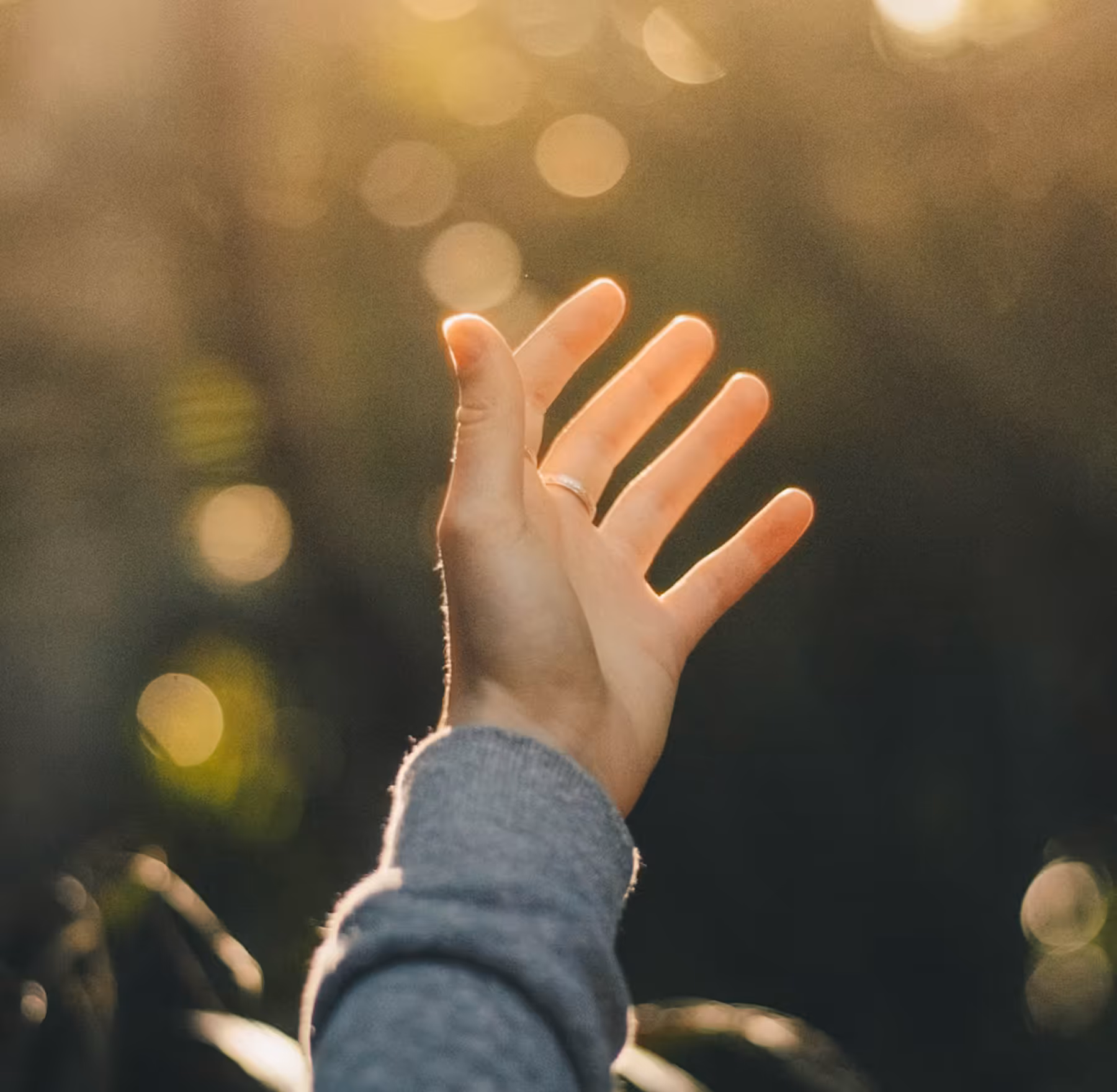 Close-up of an outstretched hand with a silver ring on the ring finger reaching toward soft sunlight with a blurred natural background.