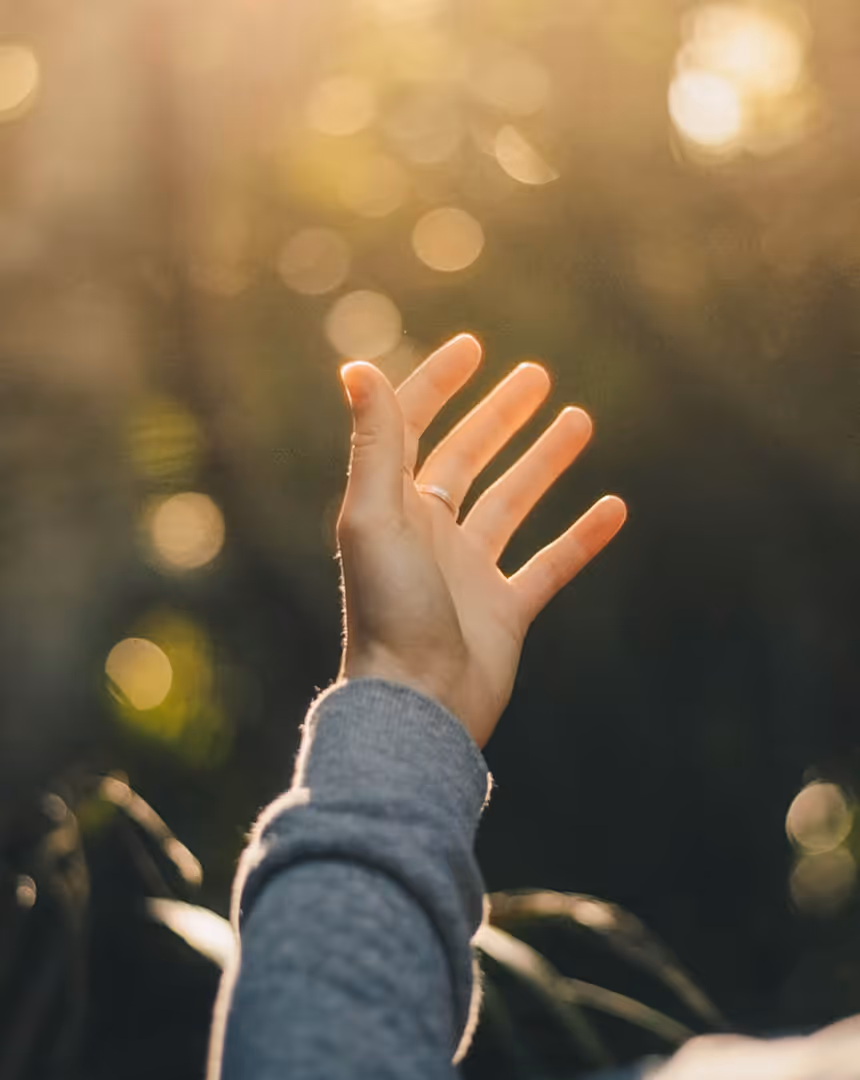 A hand reaching upward with fingers spread, wearing a ring on the ring finger, backlit by warm sunlight with a blurred natural background.