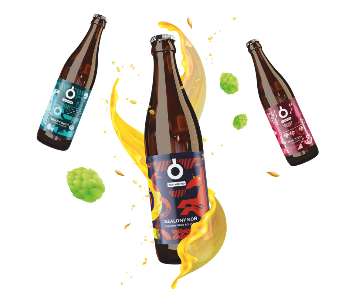 Dziki Wschód Website