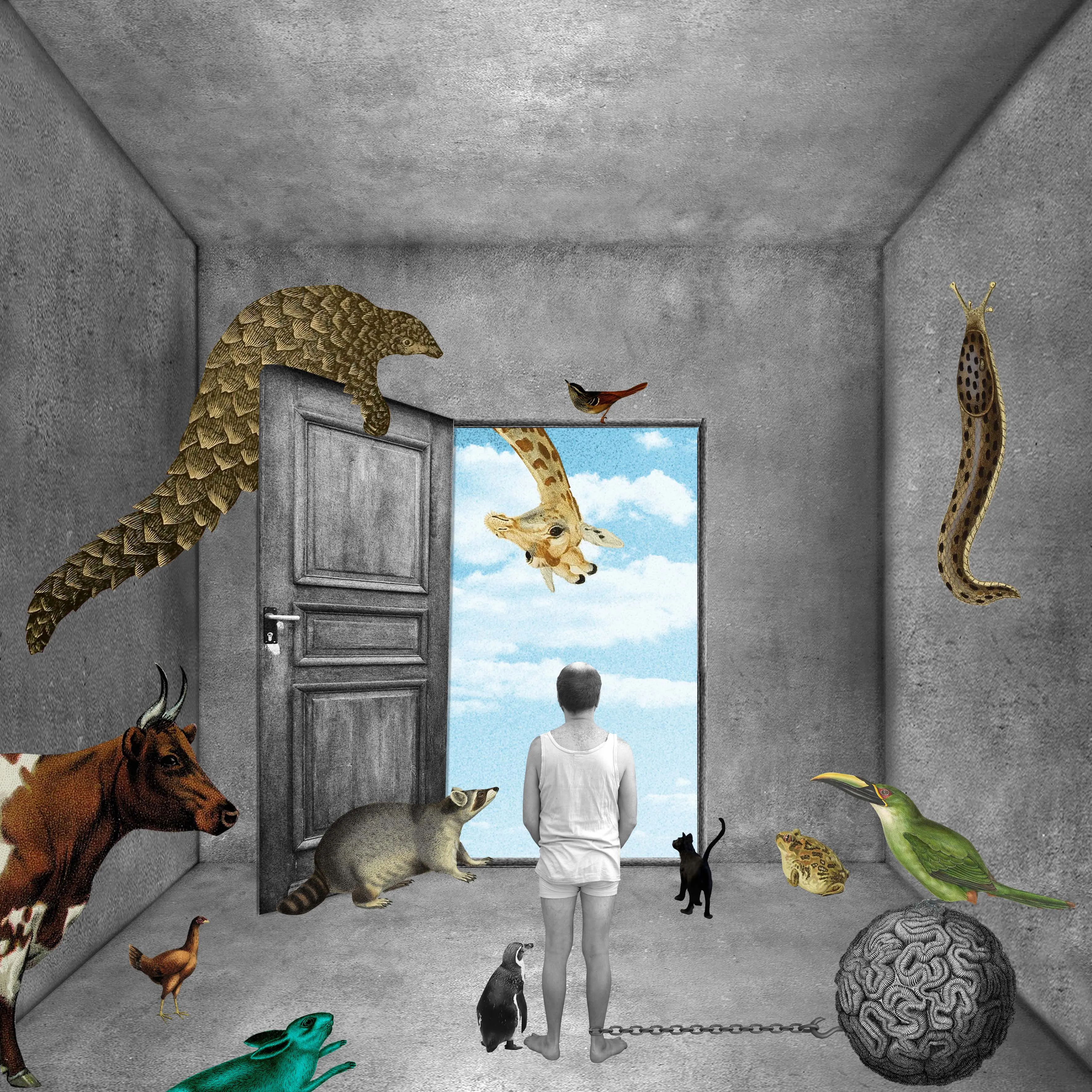 Le Bestiaire périmé