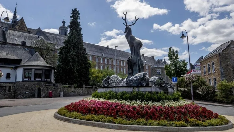 FW Discovery Box 6 - Saint-Hubert