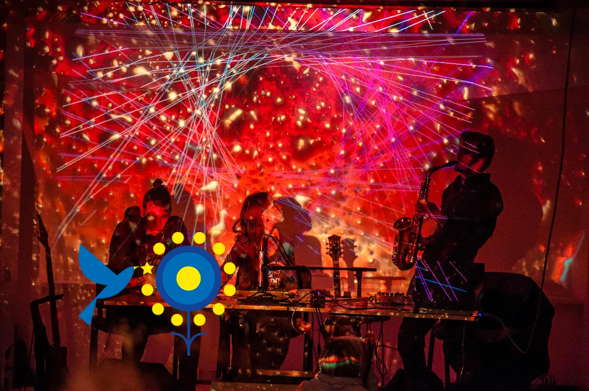 The Orchestra of Mirrored Reflections - Une organisation du Botanique