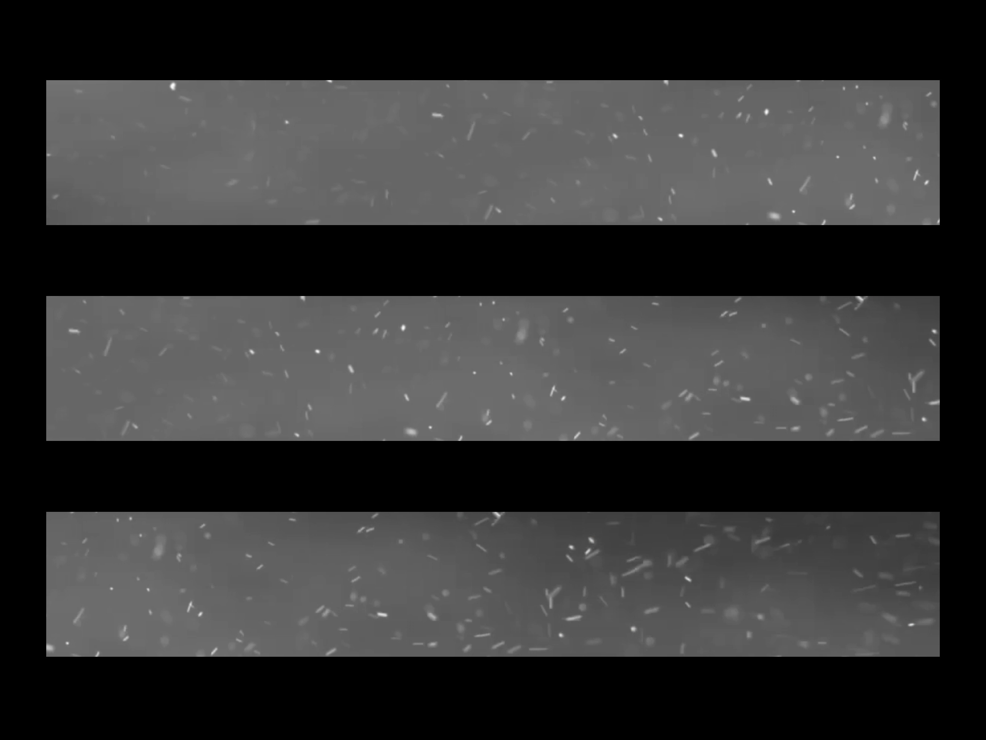 Philadelphia Flyers arena ribbon and logo motion graphics, gallery view 3