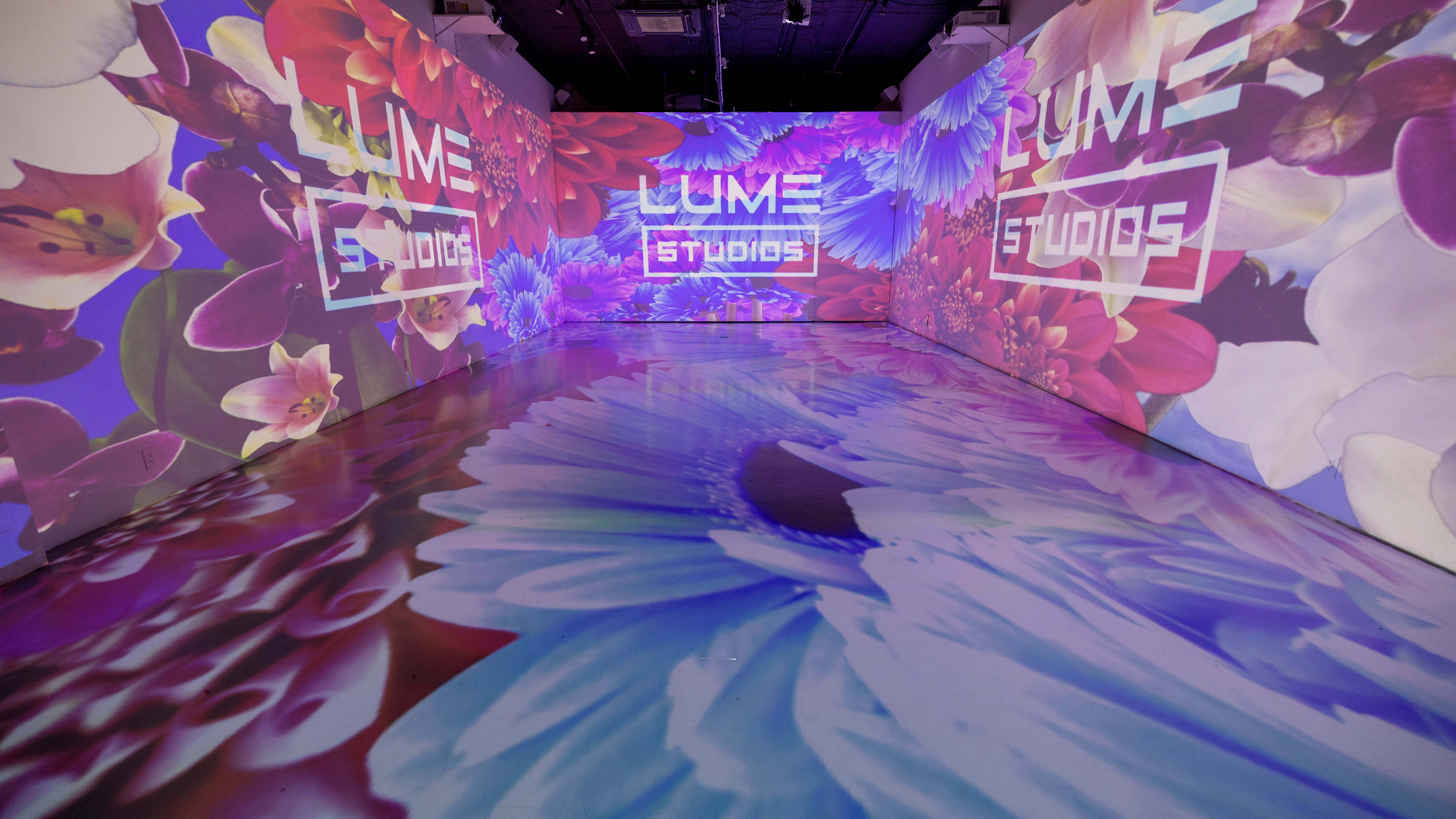 Immersive projection environment at LUME
